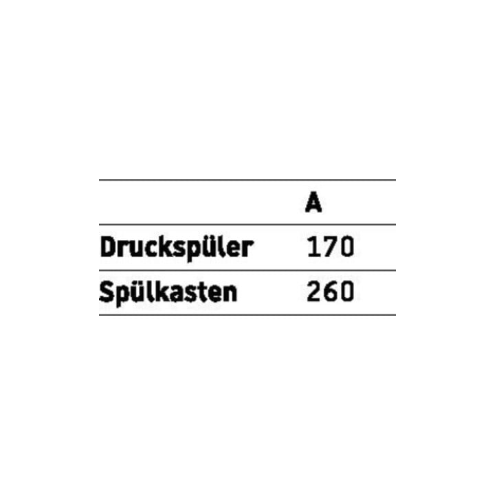 Duravit WC suspendu Duraplus Sudan 36x46,5 cm, sortie horizontale, blanc, 6,0 l, accessible
