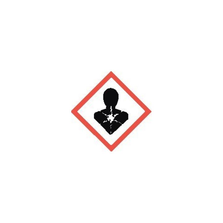 E-COLL Mousse polyuréthane pistolet flexible
