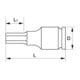 E/D/E Embout de tournevis machine 1/2" 6 pans S