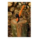 E/D/E Spaltaxt Eschenstiel 3.000g 900mm