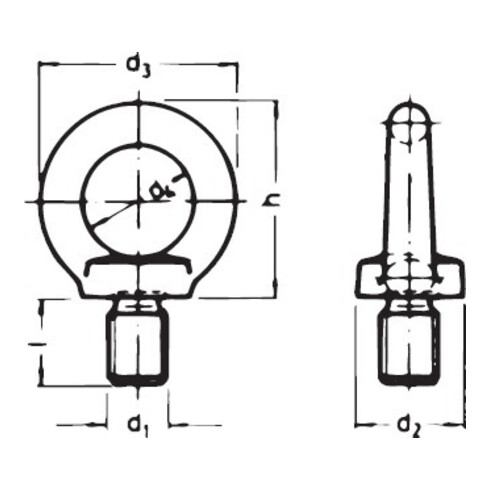 E-NORMpro DIN 580 Ringschraube C15E galZn M12 HP VE 25