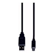 E+P Elektrik Câble caméra USB 2.0 1,5 m CC534-1