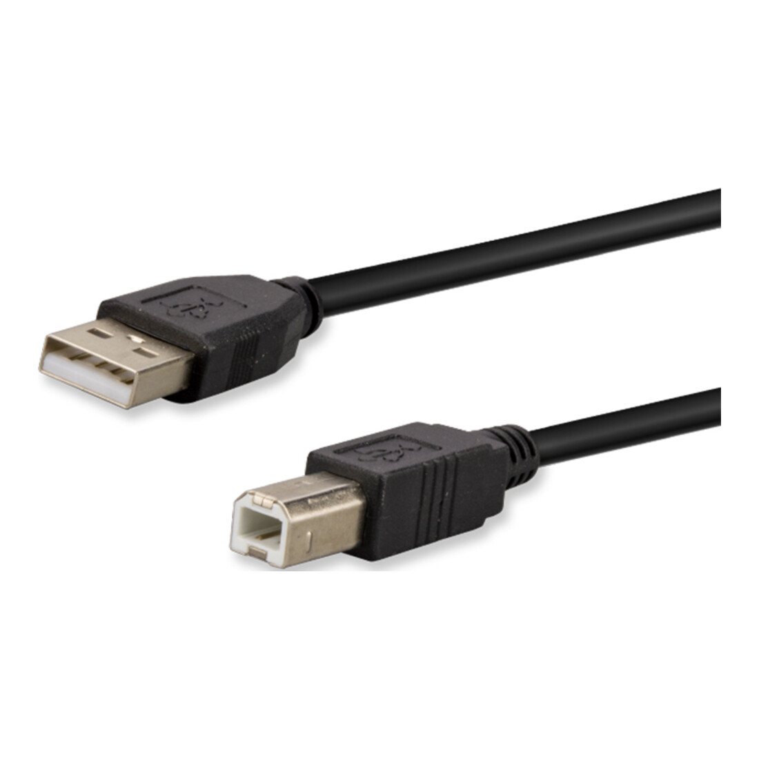 E+P Elektrik Câble USB 2.0 AB 10 m CC502/10 en vrac