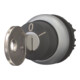 Eaton Bouton clé M22-WS-MS5