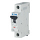 Eaton Disjoncteur B 2A, 1p FAZ-B2/1