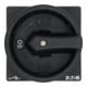 Eaton Interrupteur principal encastré/noir/N P1-32/EA/SVB-SW/N