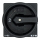 Eaton Interrupteur principal encastré/noir P1-25/EA/SVB-SW