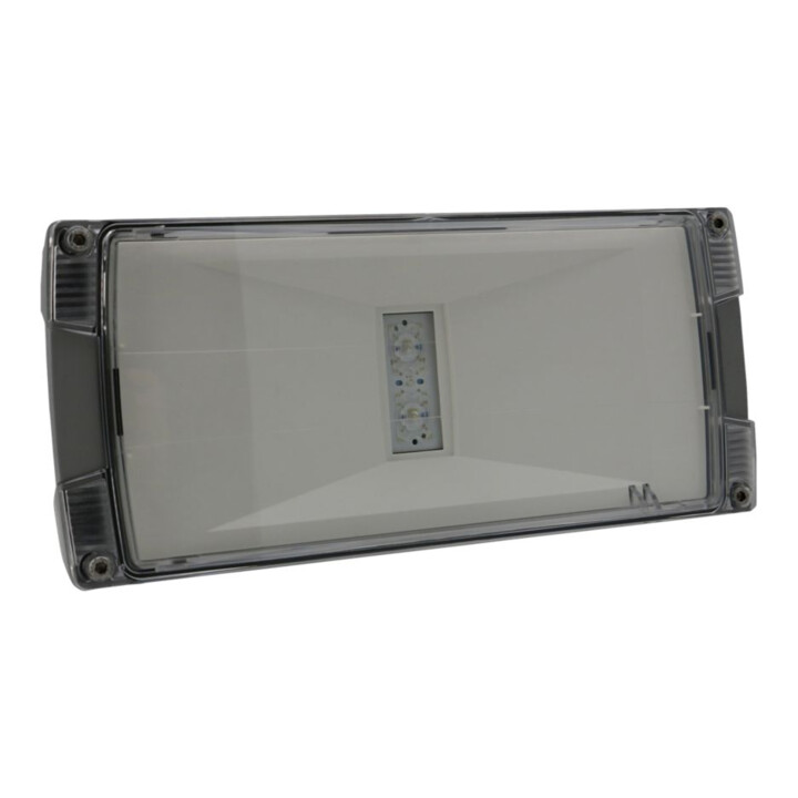 Eaton LED-Einzelbatterie-Leuchte AtlanticLEDS CGLine+ H automatische Funkt.test