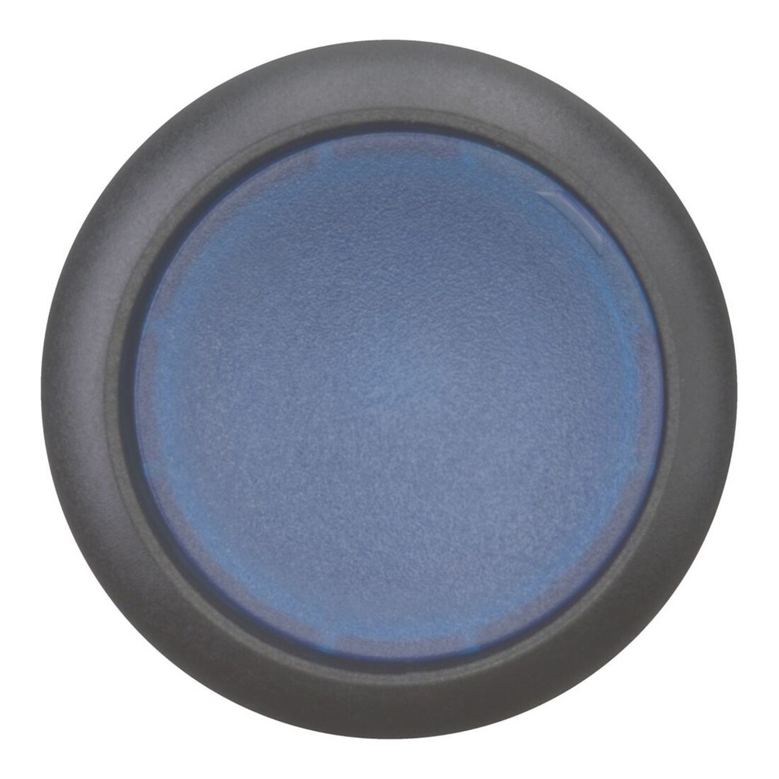 Eaton Leuchtdrucktaste flach, blau, blanko M22S-DL-B
