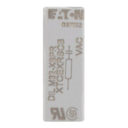 Eaton RC-Schutzbeschaltung 240VAC f.DILM17..32 DILM32-XSPR240-4