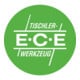 ECE Équerre de précision L 250 mm, branches en bois de palissandre-3