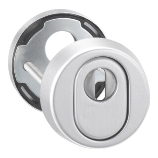 edi Rosace de protection pour clé 7156, PZ perforée RH15 acier inoxydable mat