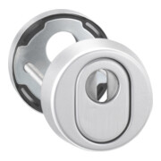 edi Rosace de protection pour clé 7256, cylindre profil percé, RH15 ALU, anodisé EV1