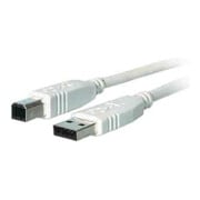 EFB-Elektronik Câble USB 2.0 haute vitesse 5,0 m type A-B K5255.5-1