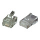 EFB-Elektronik Connecteur modulaire RJ11 pour câble ruban plat 37511.1-100 (100 pièces)