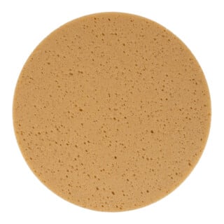 Eibenstock Schwammscheibe (Klett, grobe Porenstruktur) Ø 320 mm für EPG 300 A