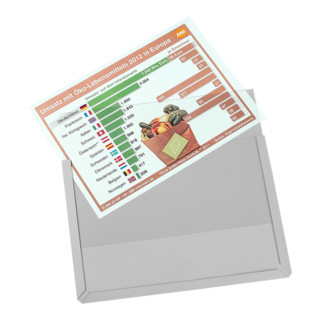 Eichner Pochette transparente magnétique en PVC dur DIN A4 paysage
