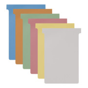 Eichner Cartes blanches T4 pour K4 173 mm × 123 mm-3