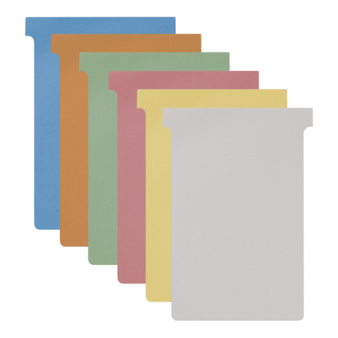 Eichner T4 - CARTES POUR K4 BLANKO K4 173 mm 123 mm