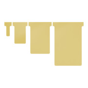 Eichner Cartes blanches T4 pour K4 173 mm × 123 mm-4
