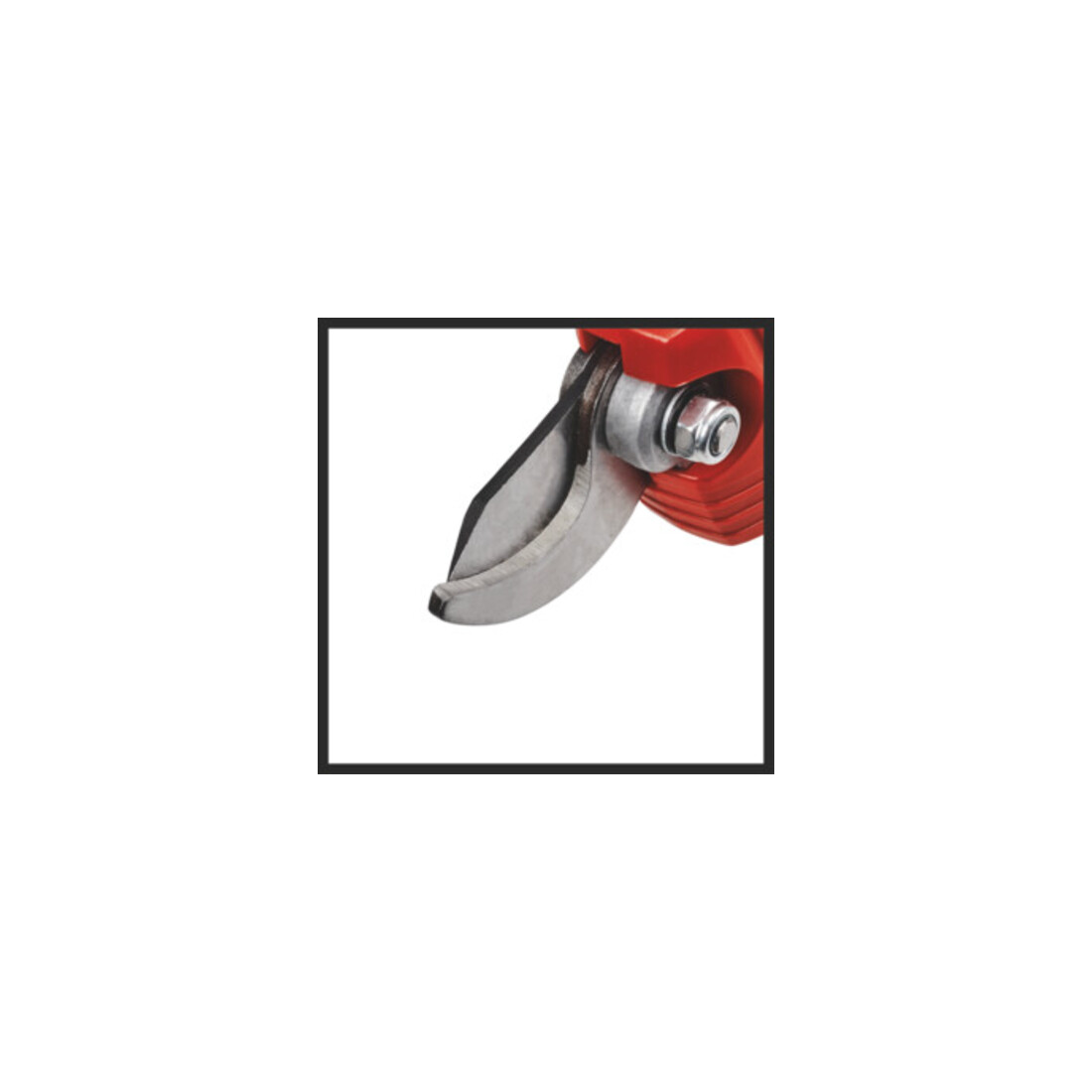 Einhell Akku-Astschere GE-LS 18 Li-Solo