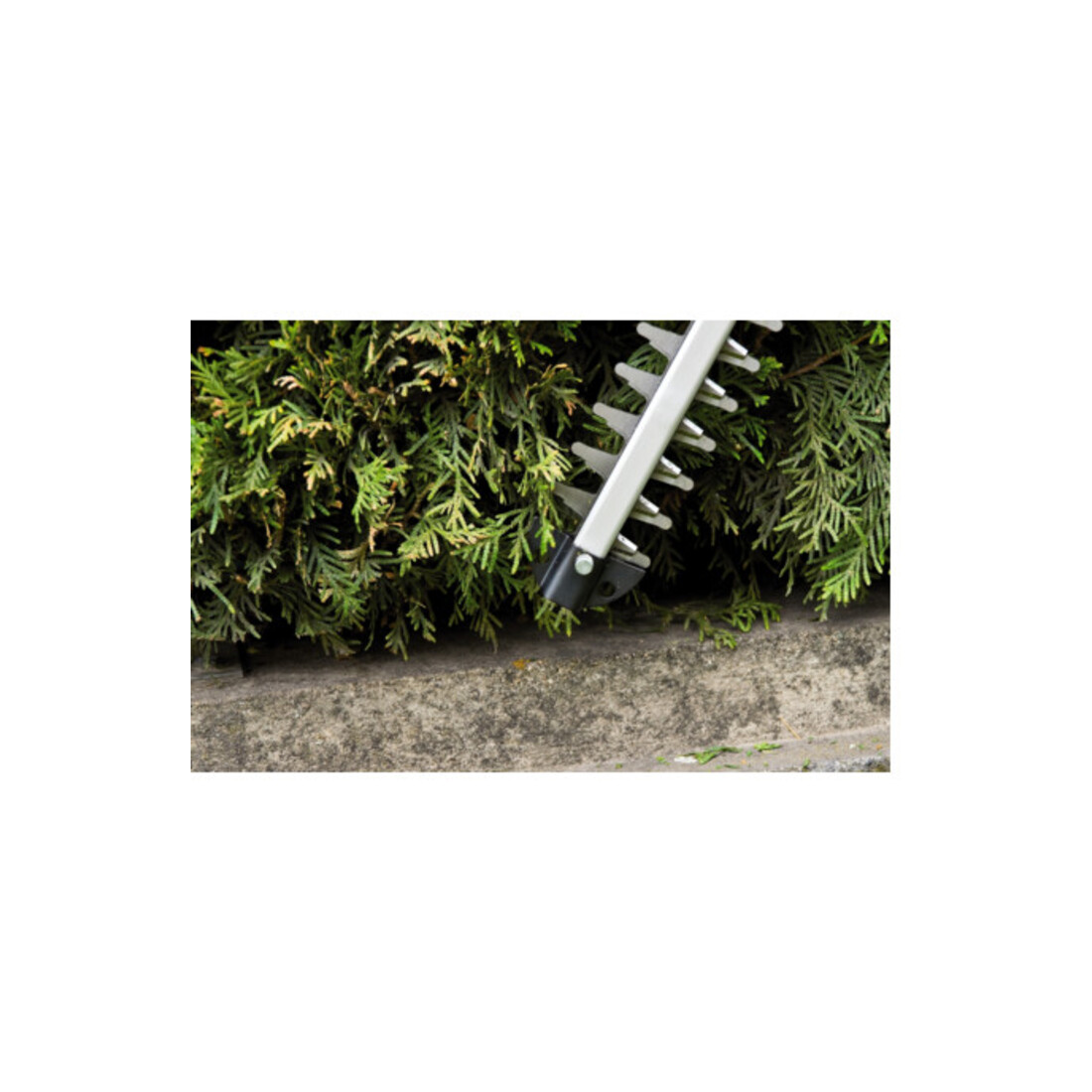 Einhell Akku-Heckenschere inkl. 2,5 Ah Starter-Kit + Akku-Rasentrimmer