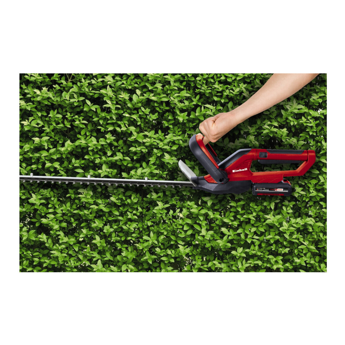 Einhell Akku-Heckenschere inkl. 2,5 Ah Starter-Kit + Akku-Rasentrimmer