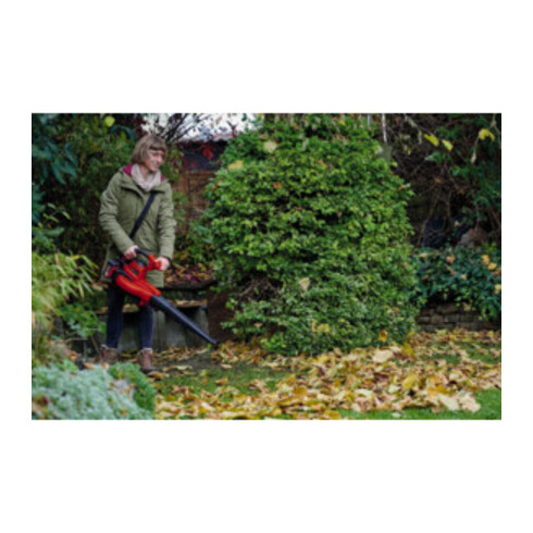 Einhell Aspirateur à feuilles sans fil GE-CL 36/230 Li E -Solo