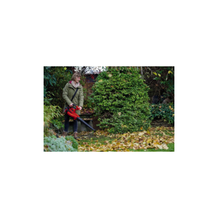 Einhell Aspirateur à feuilles sans fil GE-CL 36/230 Li E -Solo