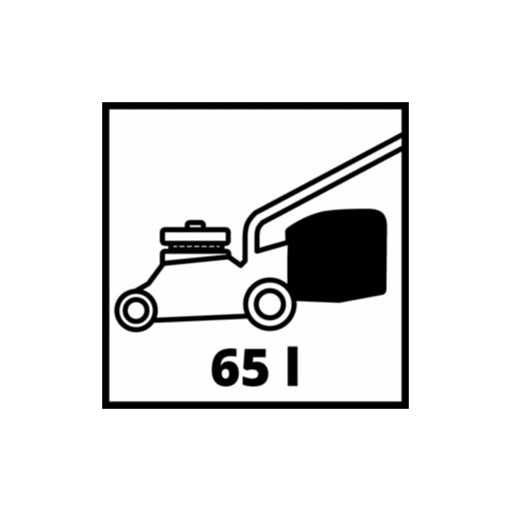 Einhell Benzin-Rasenmäher GC-PM 46/5 S