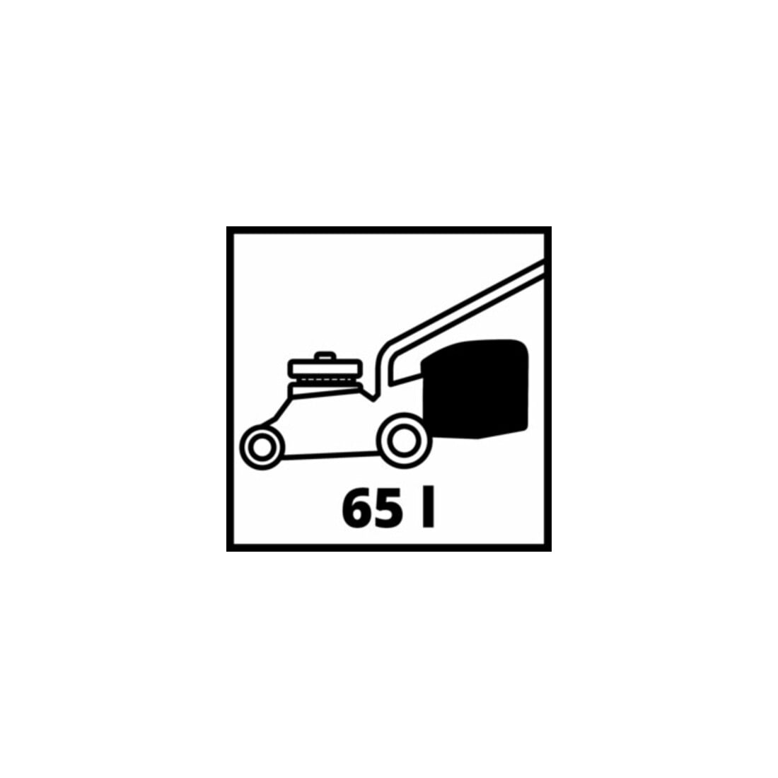 Einhell Benzin-Rasenmäher GC-PM 46/5 S