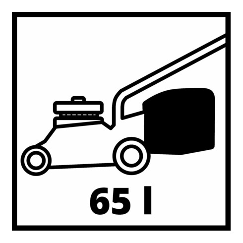 Einhell Benzin-Rasenmäher GC-PM 46/5 S