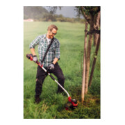 Einhell Coupe-bordures sans fil GE-CT 36/30 Li E-Solo-5