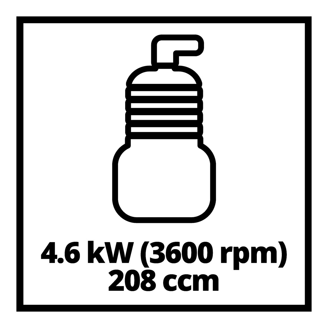Einhell Pompe à eau à essence GE-PW 46