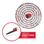 Einhell Professional Akku-Laubbläser GE-LB 36/210 Li E-Solo-2