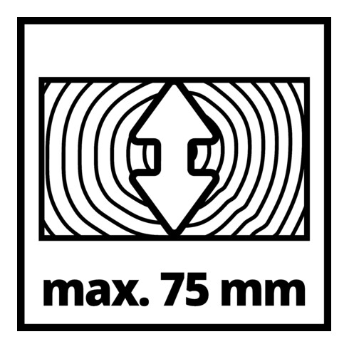 Einhell Scie à onglet TC-MS 2513 L