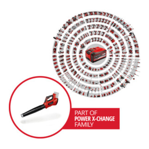 Einhell Souffleur de feuilles sans fil GE-LB 36/210 Li E-Solo