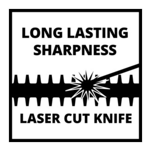 Einhell Taille-haies à essence GE-PH 2555 A