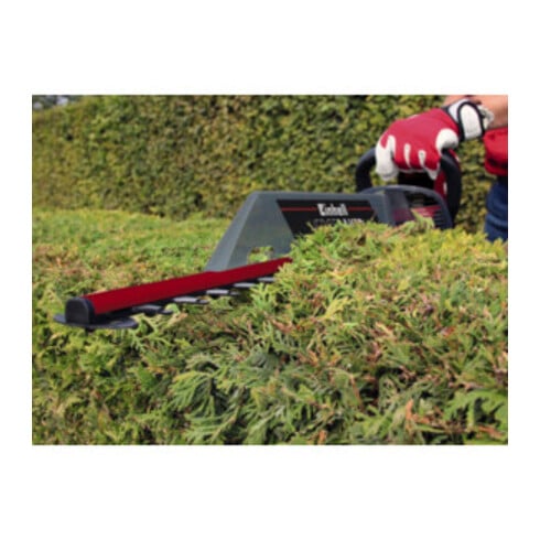 Einhell Taille-haies électrique GC-EH 6055/1