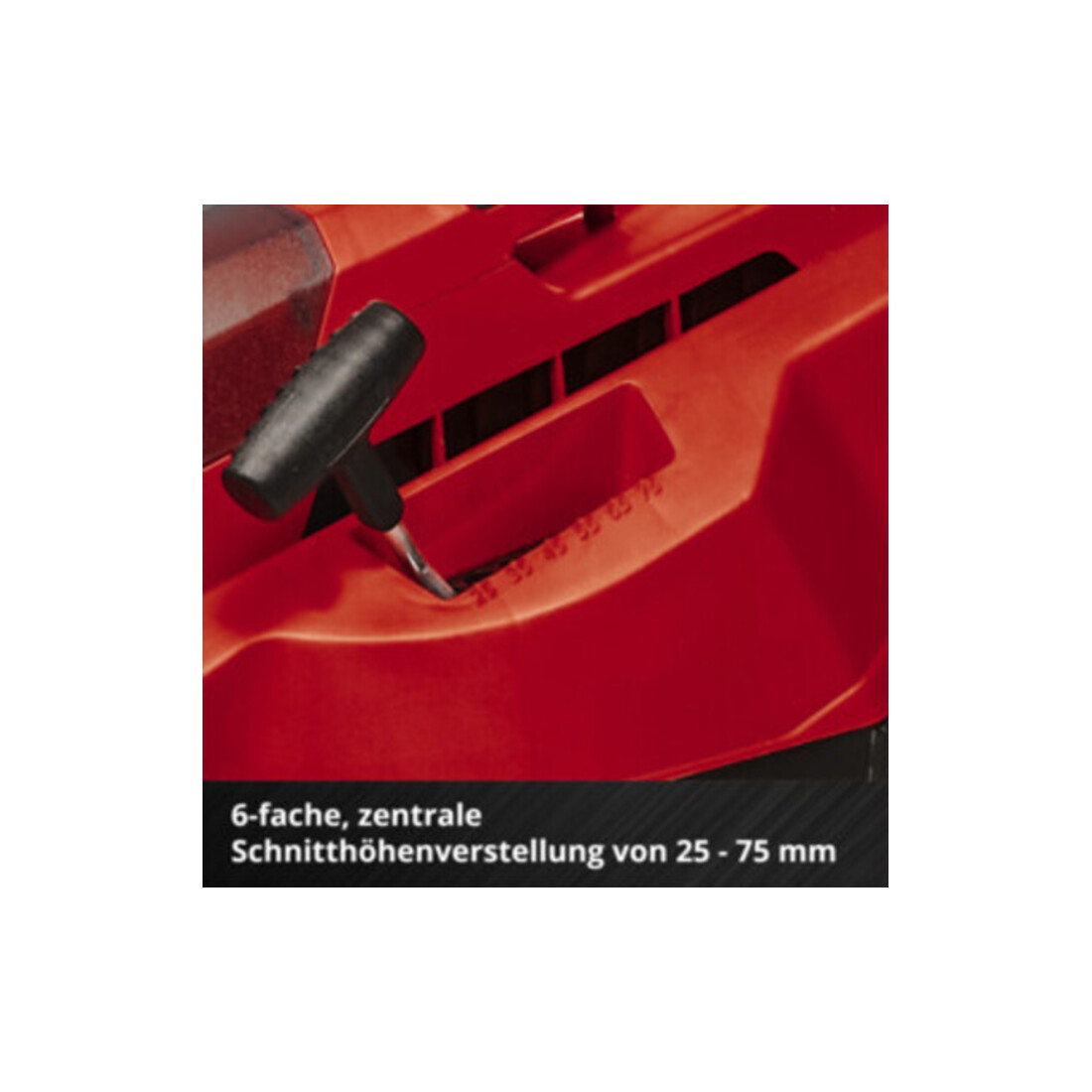 Einhell Tondeuse à gazon sans fil RASARRO 36/38 (2x4 Ah)