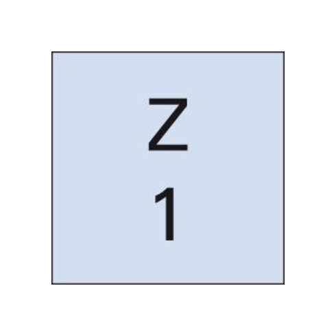Einzahnfr. WN VHM 3,0mm FORMAT