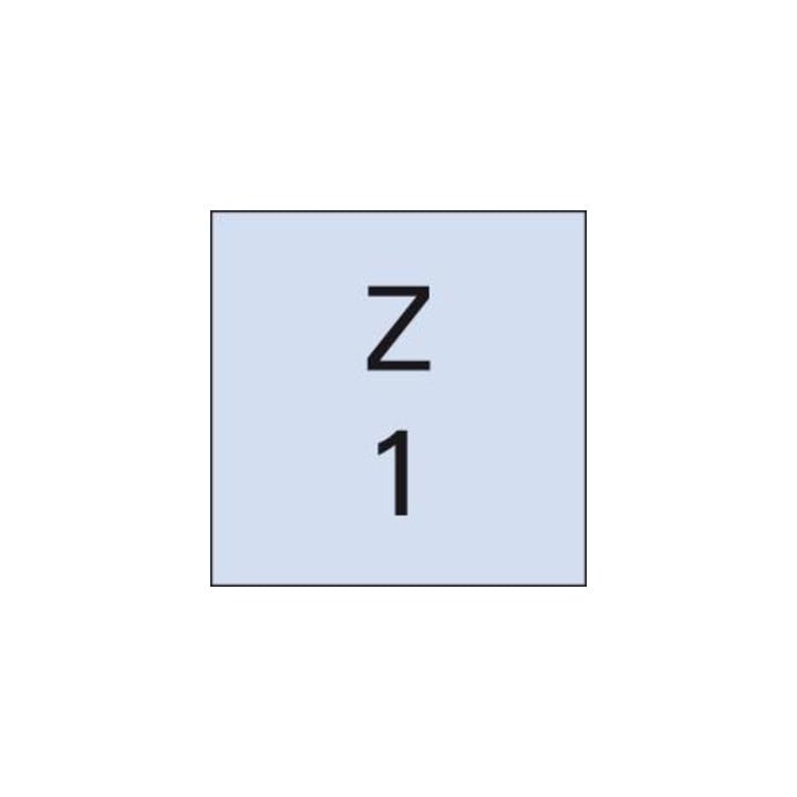 Einzahnfr. WN VHM 3,0mm FORMAT