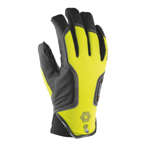 EJENDALS Paire de gants de protection contre le froid Tegera 7798, Taille des gants: 10