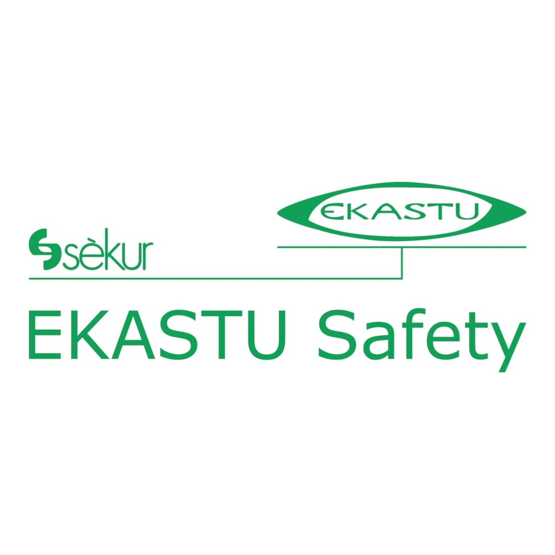 Ekastu Filtre à particules 230 P3R D