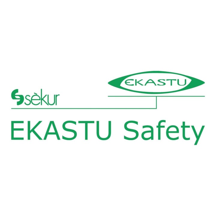 Ekastu Partikelschraubfilter Dirin 230 P3R D