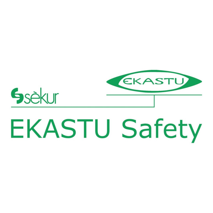 Ekastu Safety Kombinationsfilter Polimask 230, ABE2K1 P3 R D, 258
