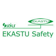 Ekastu Schutzbrille Daylight dunkelgrau verspiegelt a.PC 100%-3