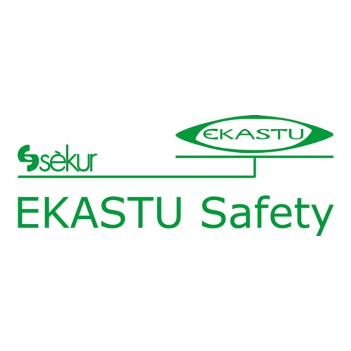 Ekastu Schutzbrille Daylight dunkelgrau verspiegelt a.PC 100%