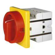 Elektra Tailfingen Haupt/Not-Aus-Schalter 25A,Unterspg.-Auslö. S1 011/HS-F3-D-RG