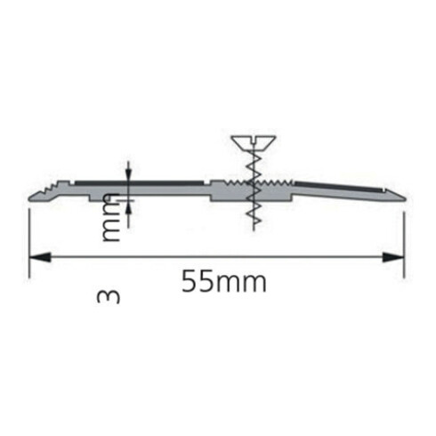 ELLEN Profil de seuil SP55 à visser alu gris/noir, Lg 1000 x Larg 55 mm